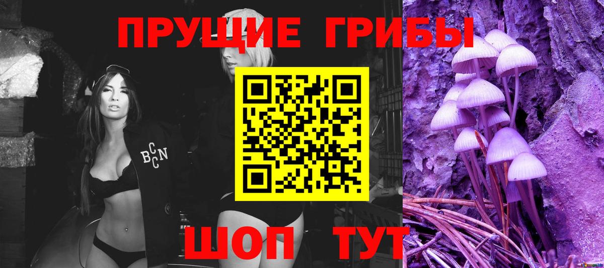 Галлюциногенные грибы ЛСД  Вход с VPN  Новозыбков 