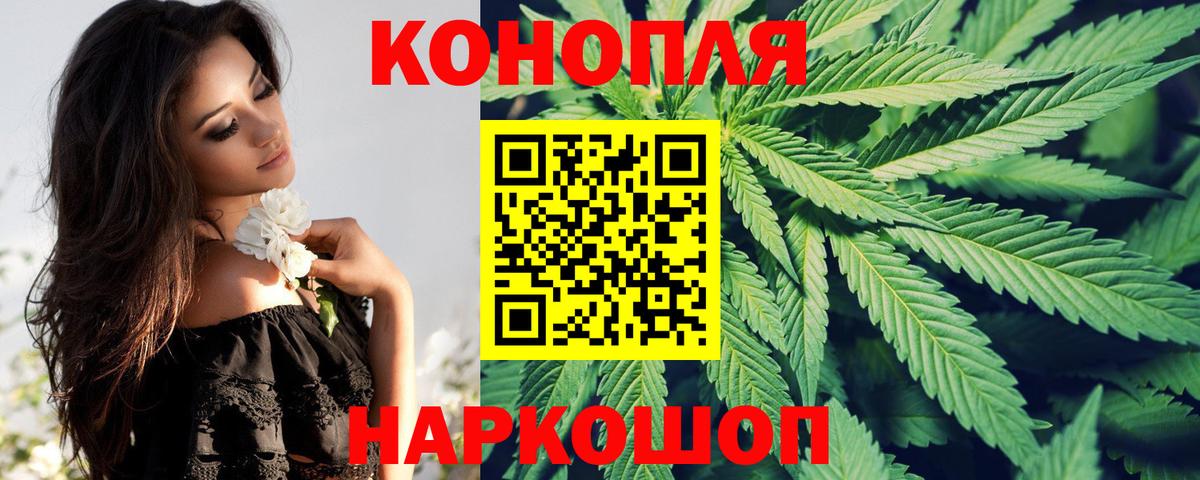 Новозыбков  Шишки марихуана White Widow  Бошки марихуана SATIVA & INDICA  Вход с VPN  Бошки Шишки Bruce Banner 